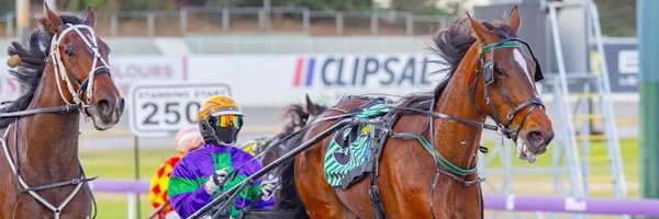 bianca_965 Profile Banner