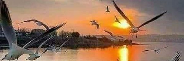 wasams24 Profile Banner