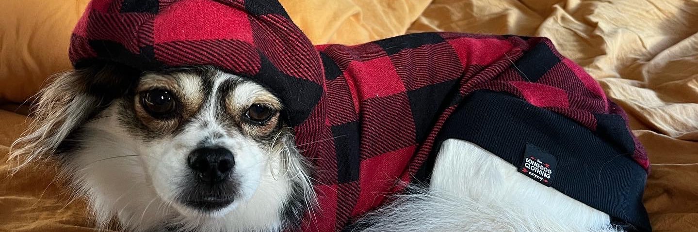 bellaanddabeast's profile banner image