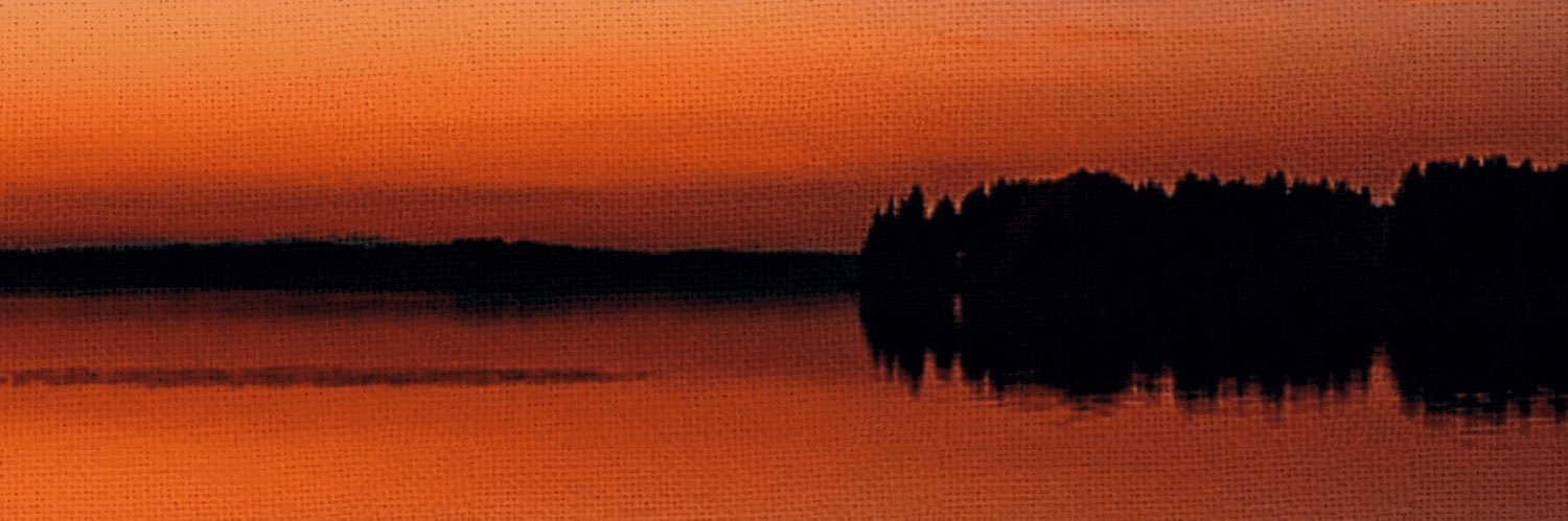 NameZani's profile banner image