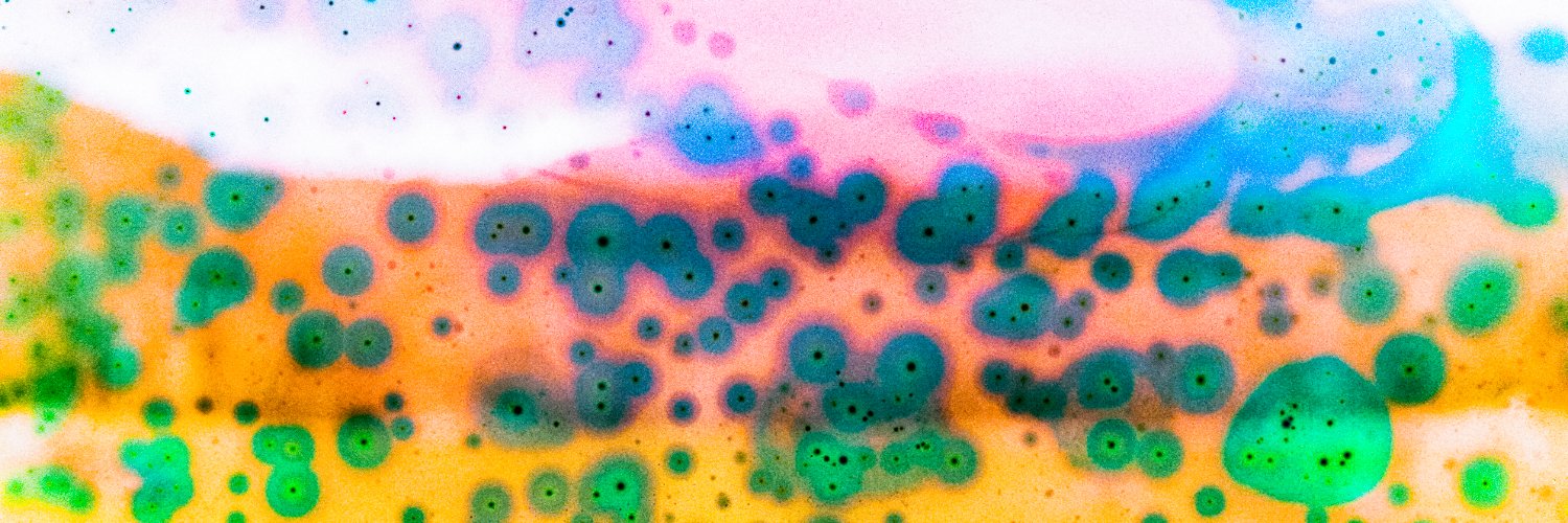 RachelArchelaus's profile banner image
