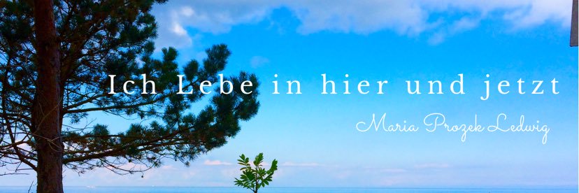 MariaProzek's profile banner image