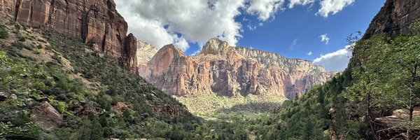 ShrekOverflow Profile Banner