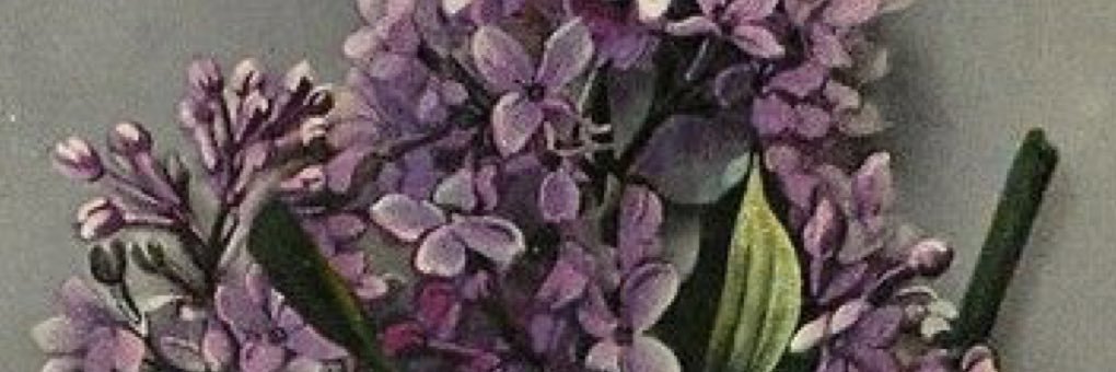 mamico banner