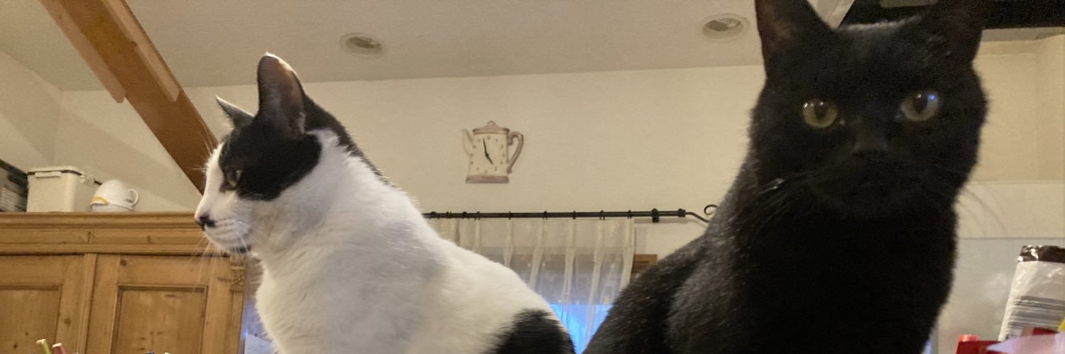 anthe10's profile banner image