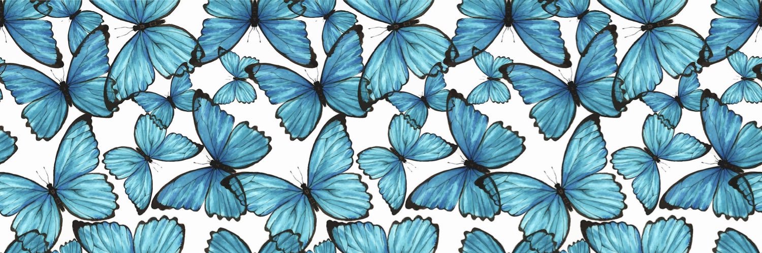 Fernanda ♥ banner