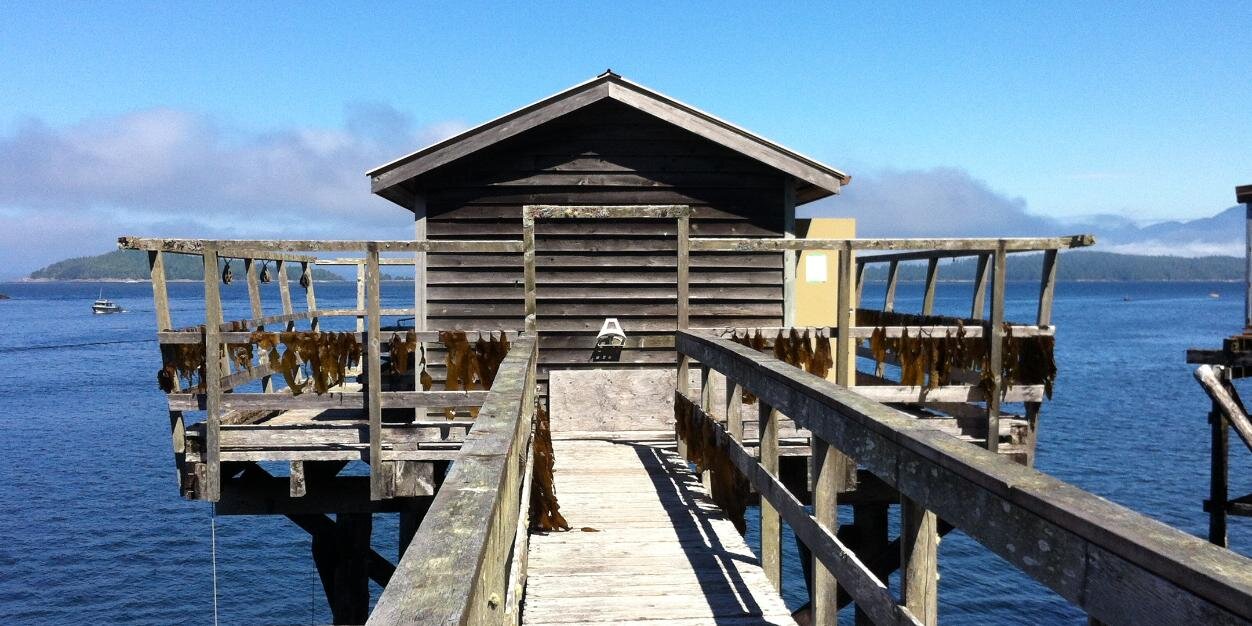 Dr. Kat Anderson (she/her) banner