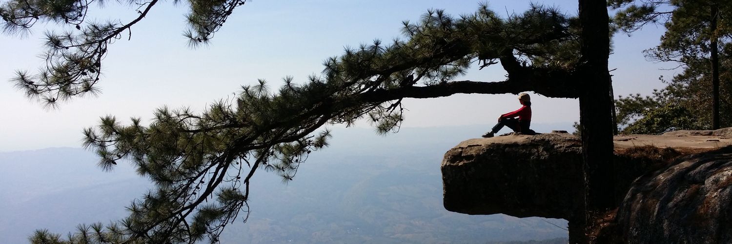 shige_nan's profile banner image