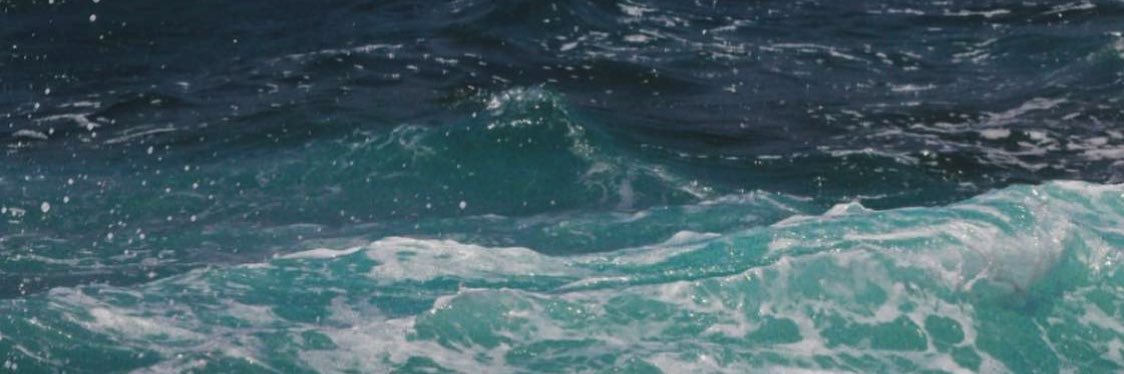 اا🦢اا banner