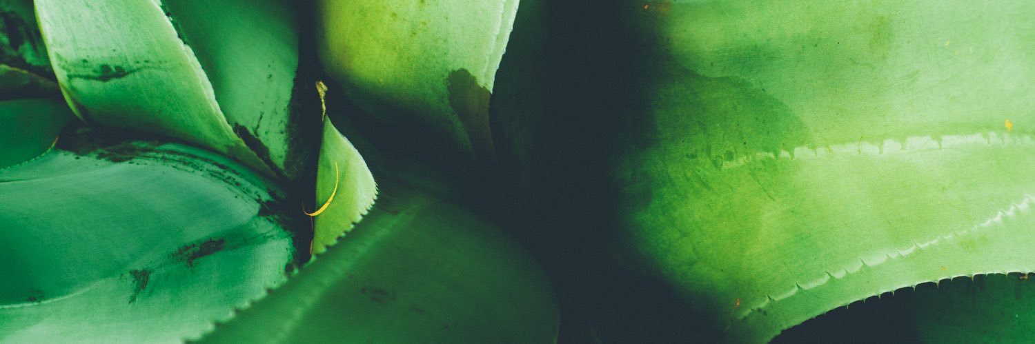 halfmysight's profile banner image