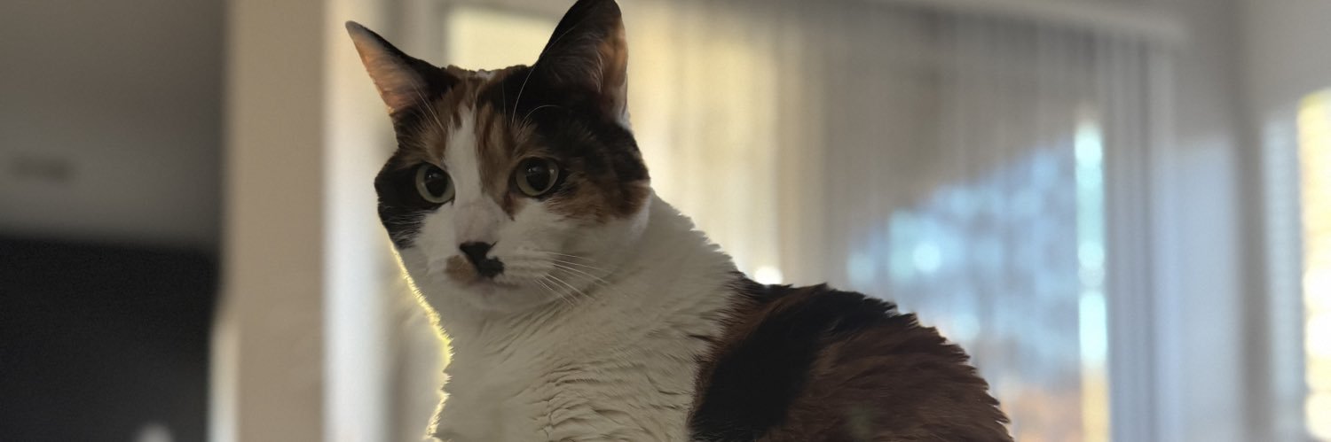 moosethetruth's profile banner image