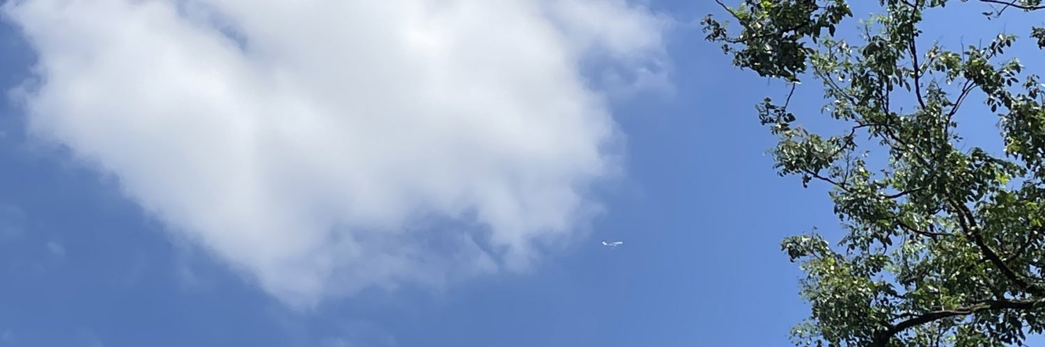 jiayun1634's profile banner image