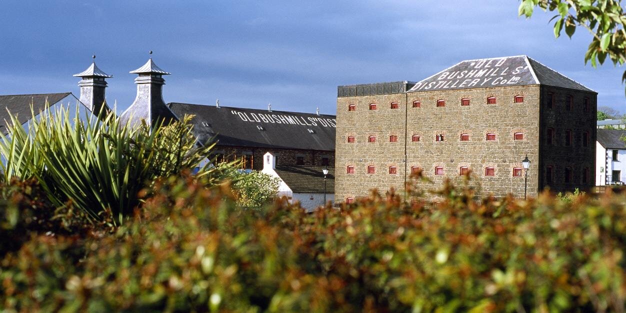 bushmillsmaster's profile banner image