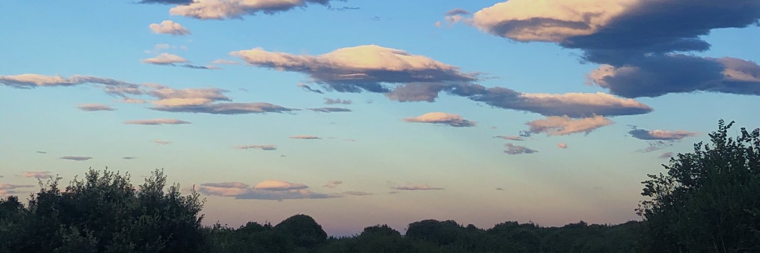 Lizoain11's profile banner image