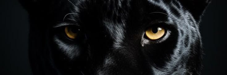 bar_ketman's profile banner image
