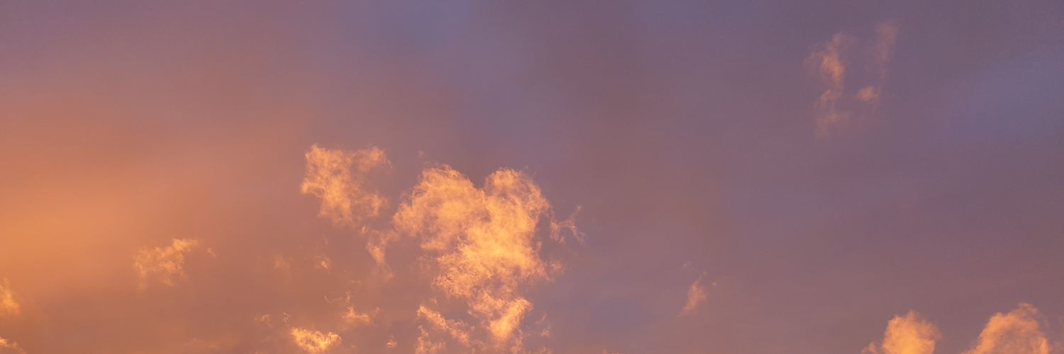 iguazua's profile banner image