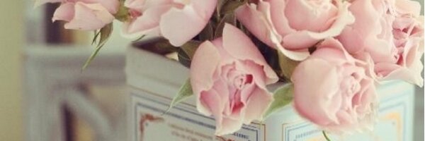 manoelmanul Profile Banner