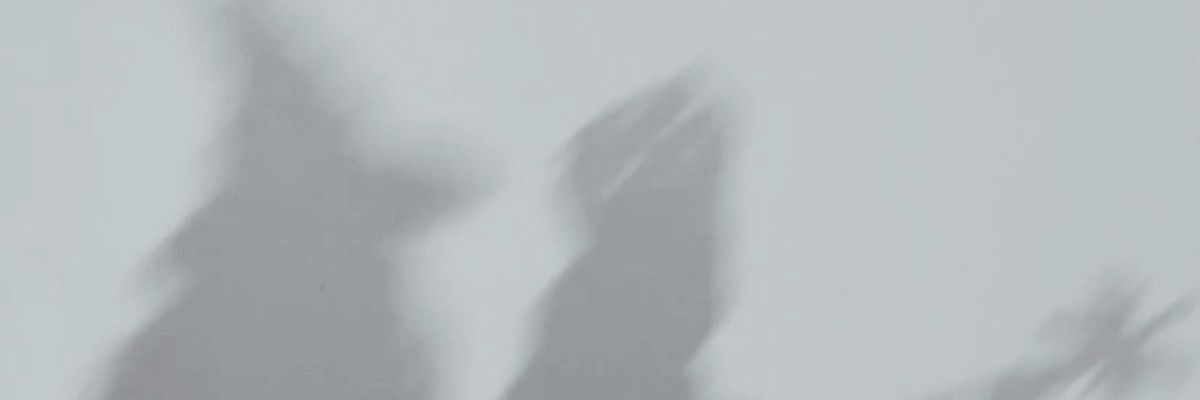 herecomesthecla's profile banner image