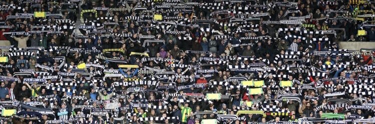 Andy Warner 𓅪 banner