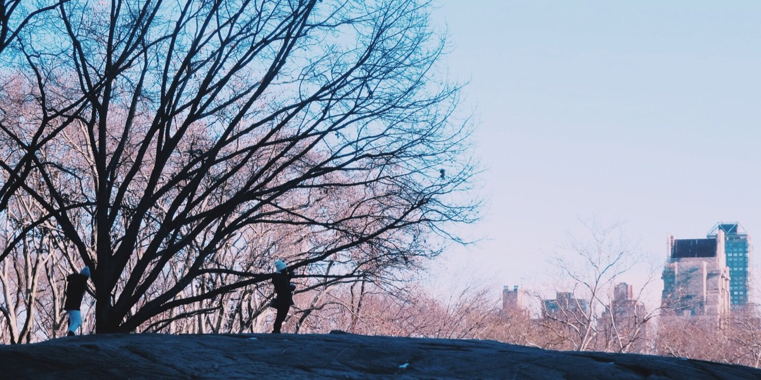 deniseickles's profile banner image