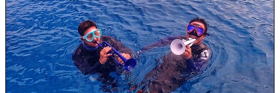 thepTrumpet's profile banner image