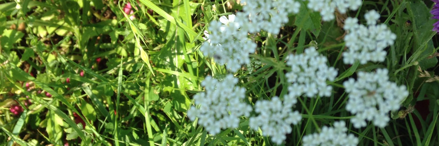WorthingFood's profile banner image