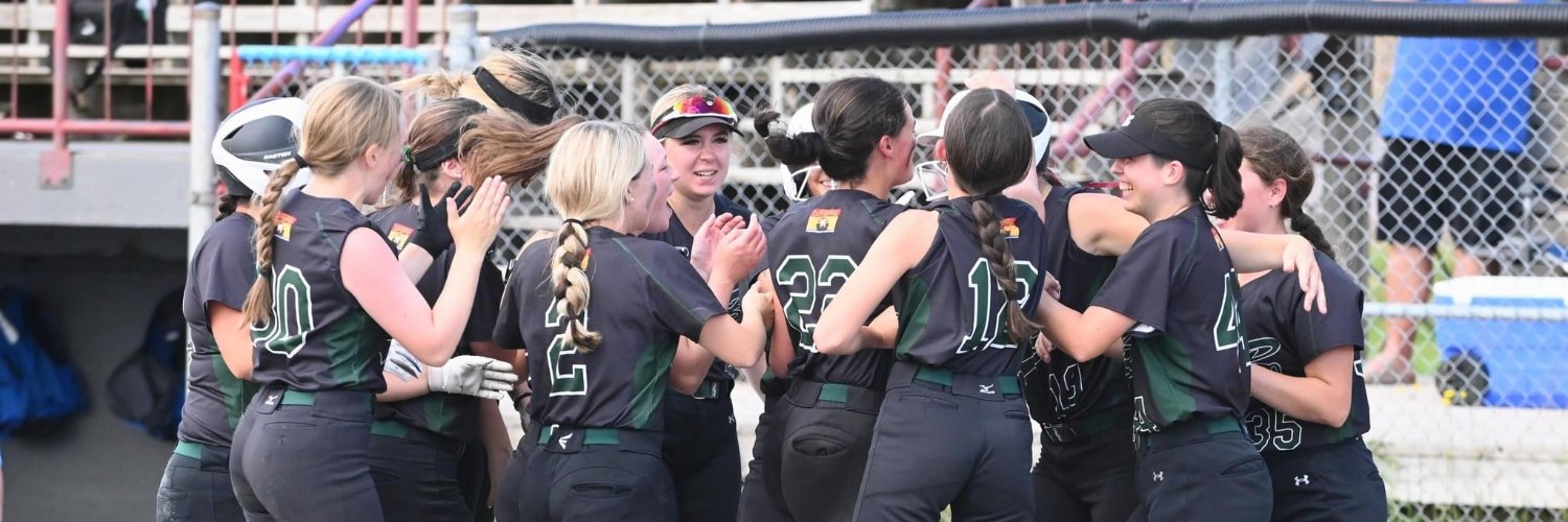 Softball NB banner