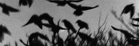 David_Dm99's profile banner image
