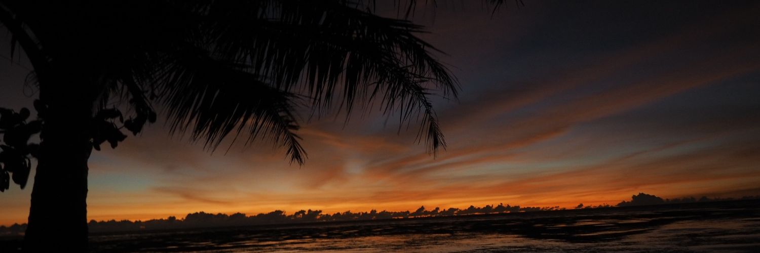 muhrom29's profile banner image