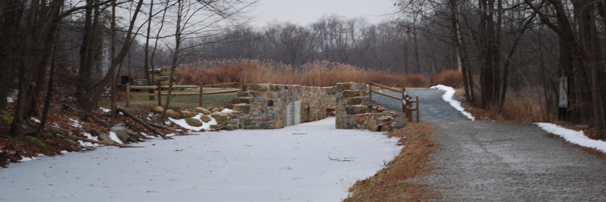 WhartonNJ's profile banner image