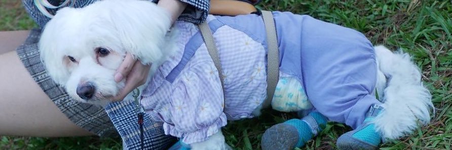fayessbook's profile banner image