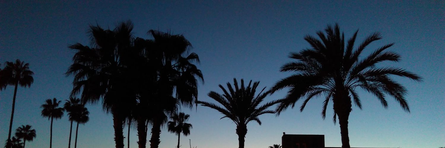 CarysSullivanmk's profile banner image