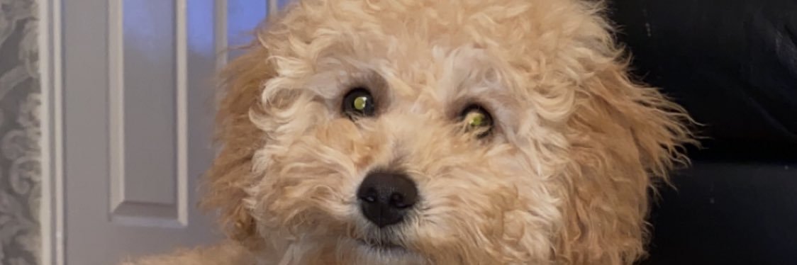 calsmithx's profile banner image