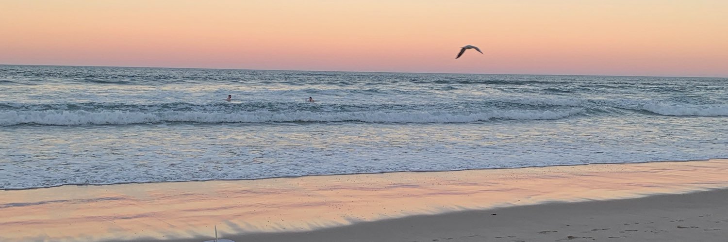 mlsdde's profile banner image
