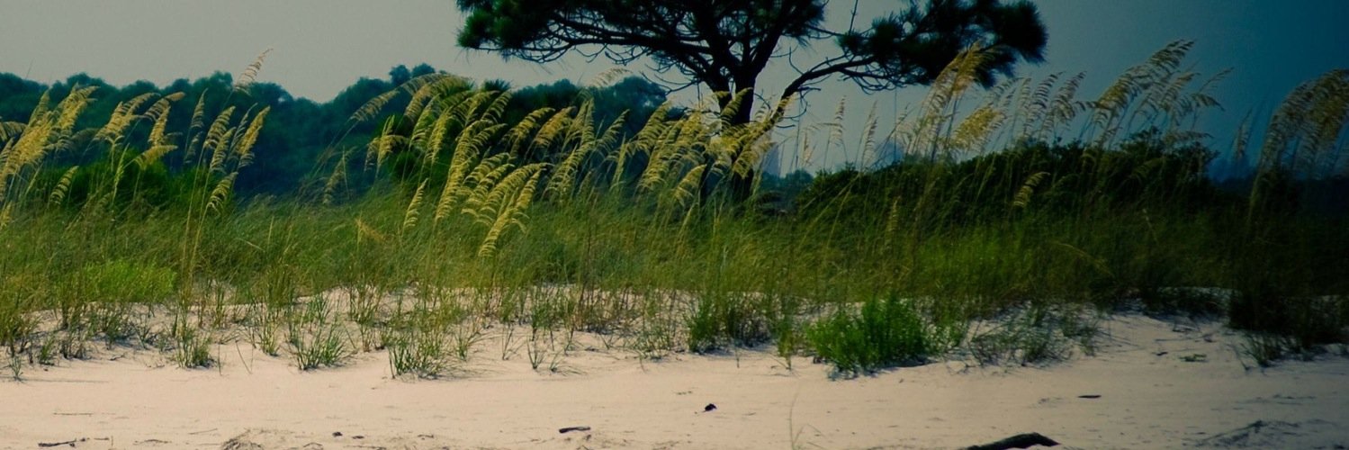 takaedascissors's profile banner image
