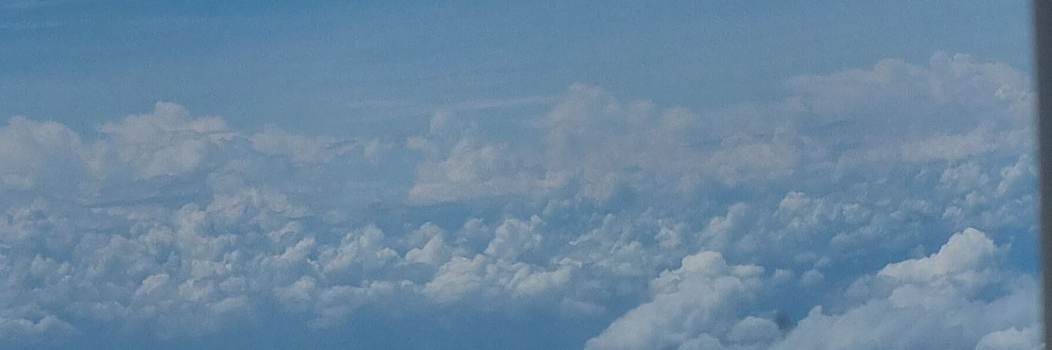 ~PPOOK~🌅🤍 banner