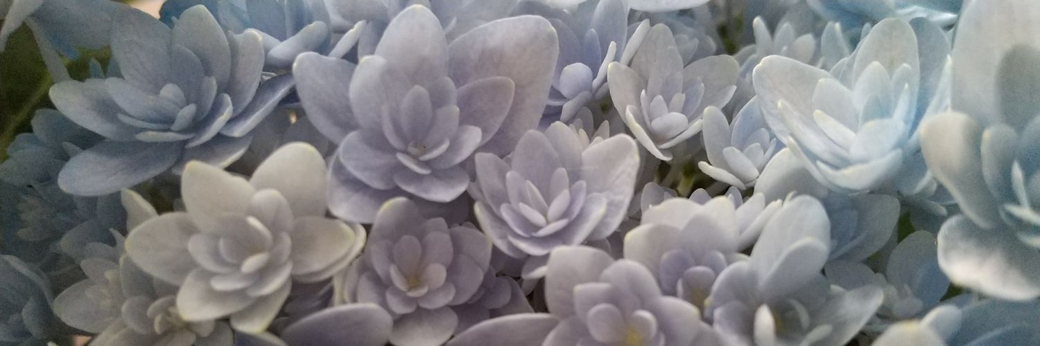 caramelnonchan's profile banner image
