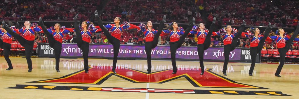 WHS Poms banner
