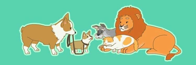 cecelia_kujon's profile banner image