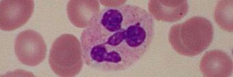 hemepath's profile banner image