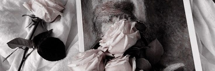 ahavax ♡ banner