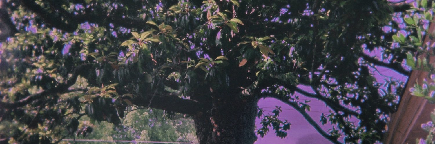 __e_b_m__'s profile banner image