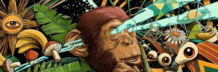 tn_luis's profile banner image