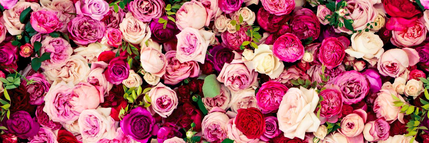 jdhll's profile banner image