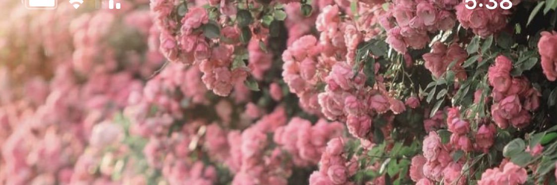 qu_89's profile banner image