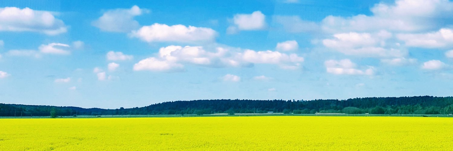 ndinga's profile banner image