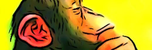 fly_monkey_'s profile banner image