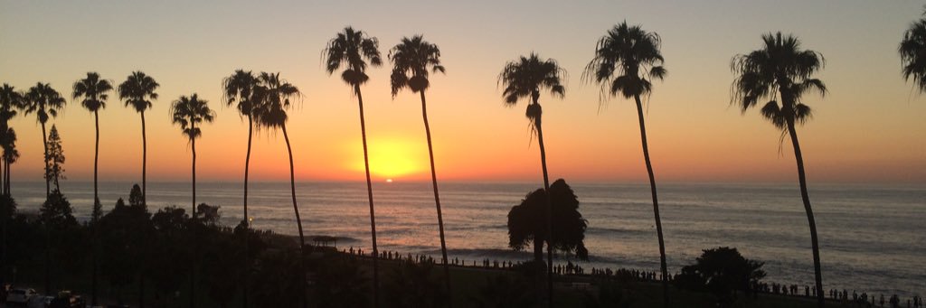 Katherine Lee banner