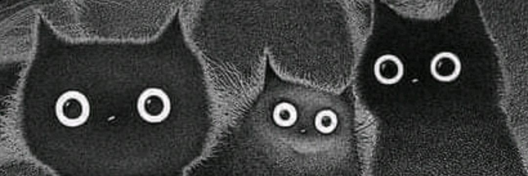 CamilaPeez's profile banner image