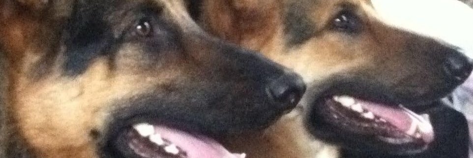 agsdowner's profile banner image